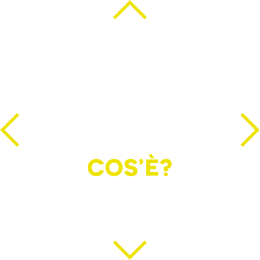 report_bilancio